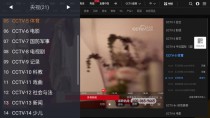 WebView 电视v1.10.10清爽版 开源电视直播