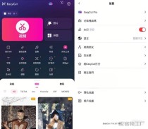 2025EasyCut 简易视频剪辑v1.7.5.2144高级版下载