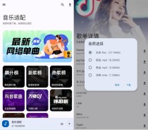 2025安卓音乐适配v2.1.9更新版下载