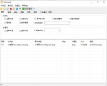 2025zRenamer批量改名工具v1.6绿色版下载