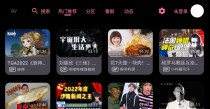 2025BV(哔哩哔哩第三方TV版)v0.2.10 支持动态|杜比视界下载